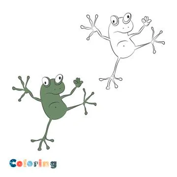 Cartoon frog. Vector illustration in the form of coloring and color example. Stock Illustration