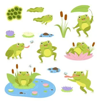 Frog Drawing Anime Style Stock Illustration 2062362206 | Shutterstock