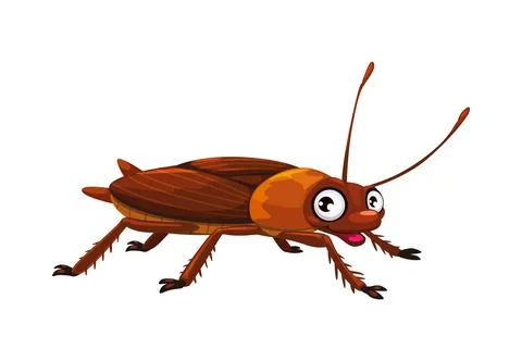 Cartoon funny cockroach insect bug character 스톡 일러스트