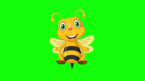Cartoon funny insect collection Talk and explain 2d animation screen green Stock Footage