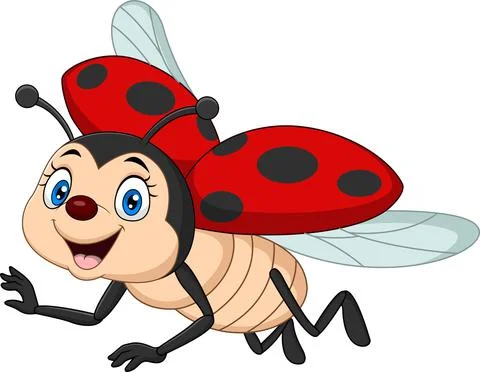 Cartoon funny ladybug on white background Stock Illustration