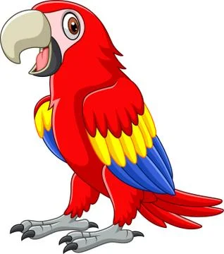 Cartoon funny macaw Stock Illustration