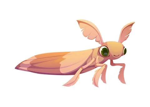 Cartoon funny moth insect character with big eyes Stock Illustration