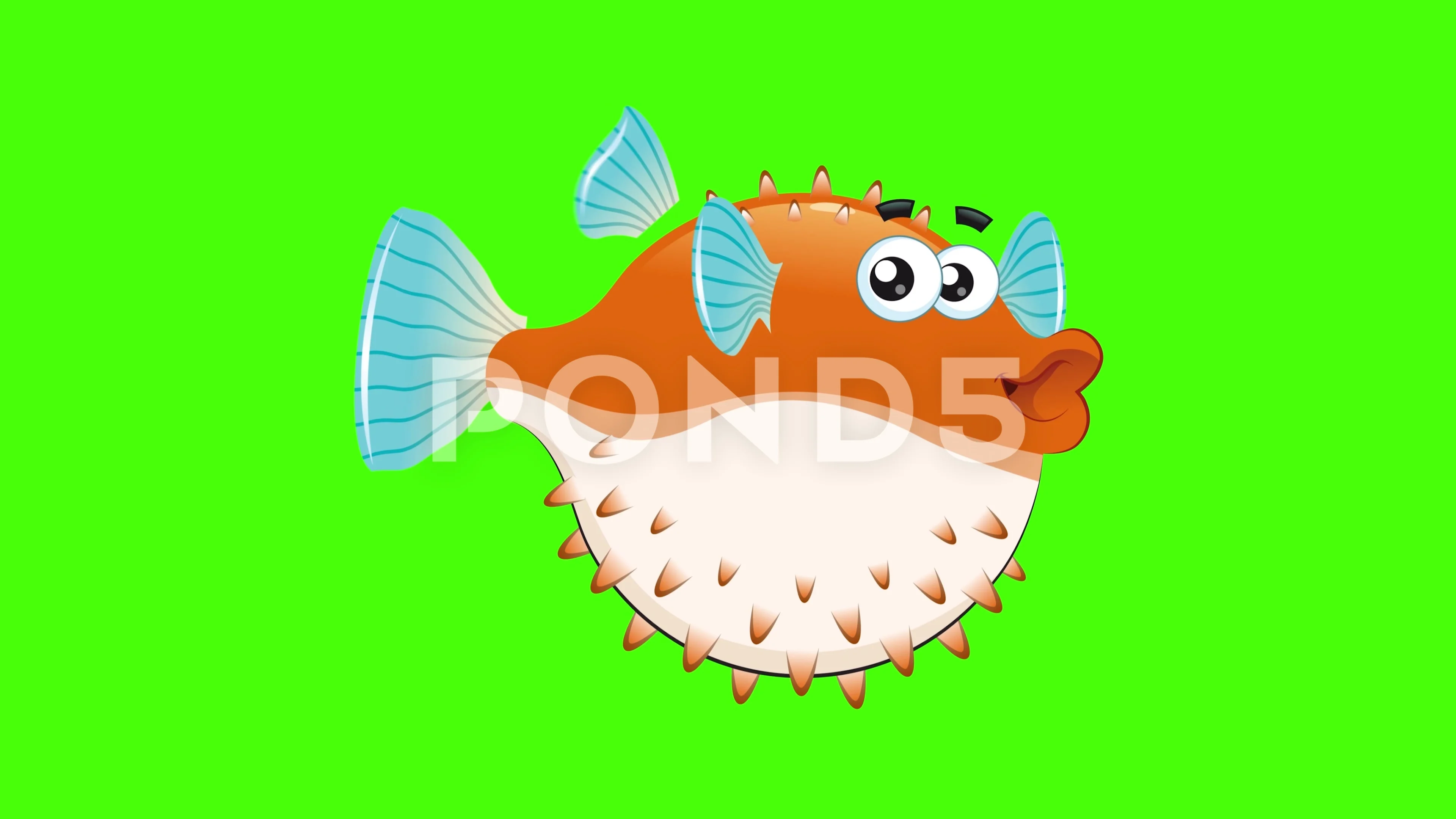 Cartoon funny puffer fish green screen b... | Stock Video | Pond5
