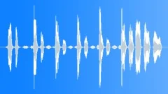 Cartoon giggling laughterSound Effect
