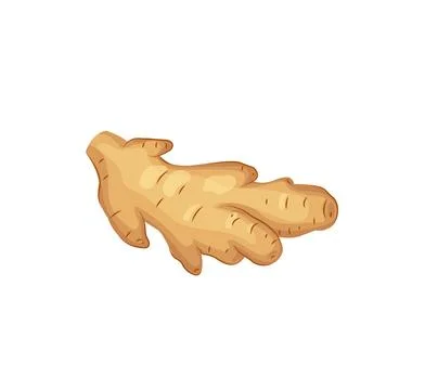 Cartoon ginger isolated on white. Fresh ginger root icon. Healthy food conc.. Stock Illustration