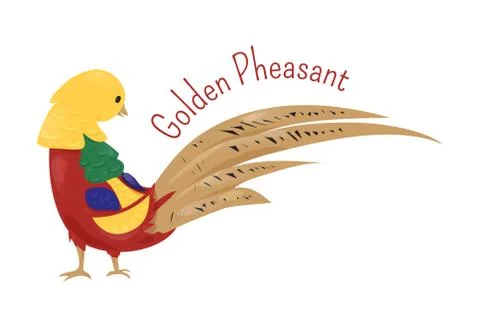 Cartoon golden or Chinese pheasant isolated on white Stock Illustration