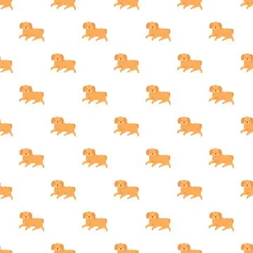 Cartoon golden poodle running pattern seamless background Stock Illustration