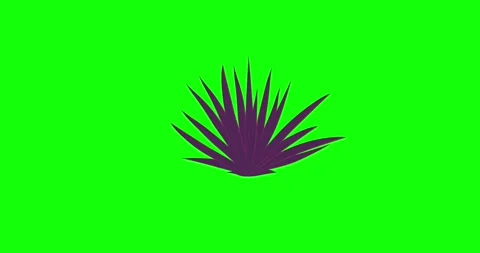 Cartoon grass element violet grow greenbox Stock Footage 314605088