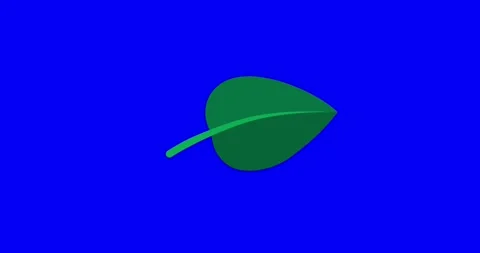 Cartoon green leaf grow blueboxbox Stock Footage 314623824