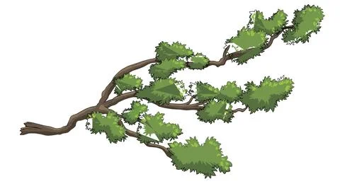 Cartoon green pine tree branch with needles and small details isolated Stock Illustration