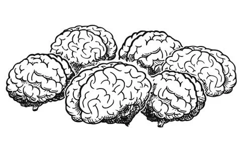 Cartoon of Group of Human Brains Thinking Together During Brainstorming イラスト素材