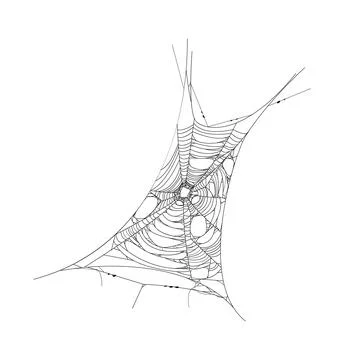 Cartoon Halloween cobweb, spider web texture 스톡 일러스트