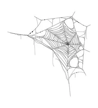 Cartoon Halloween cobweb, spiderweb texture Stock Illustration