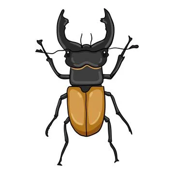 Cartoon hand drawn vector illustration of a Stag beetle Stock Illustration