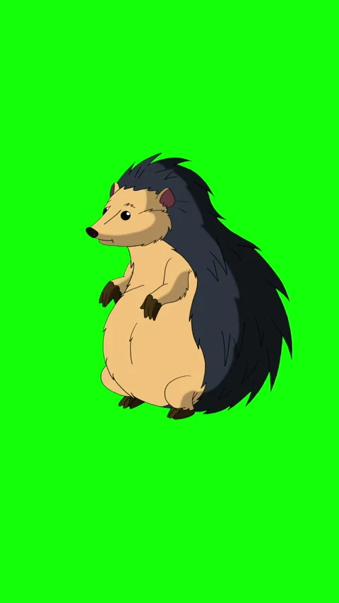 Cartoon Hedgehog on Green Screen Background. 2D animation Vertical video Stock Footage 307980292