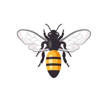 Cartoon honey bee vector Stock Illustration