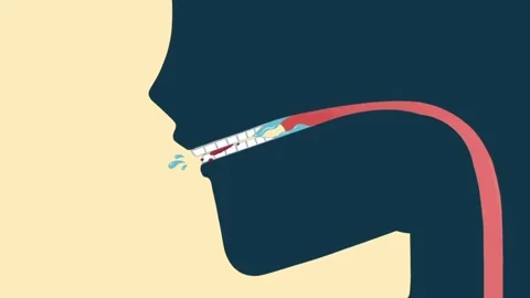 Cartoon Human Digestive System Animation Stock Footage 248936716