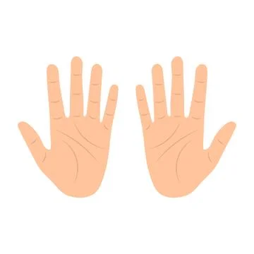 Cartoon Human Hands Palms Up Vector Illustration Stock Illustration