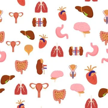 Cartoon Human Internal Organs Background Pattern on a Green Medicine Anatomy  Stock Illustration