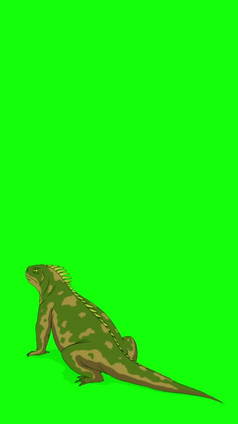 Cartoon Iguana or Comodo Dragon on Green Screen Background. 2D animation Ve.. Stock Footage 326047692