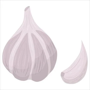 Cartoon illustration with colorful garlic. Farm market product. Vector hand Stock Illustration