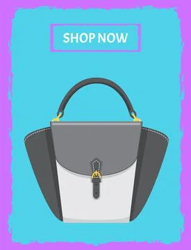 Cartoon illustration of womens bag vector icon on background, poster with Illustration