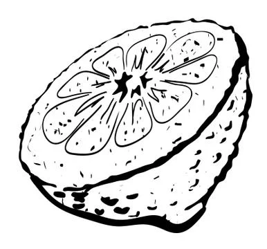 Cartoon image of half melon Stock Illustration