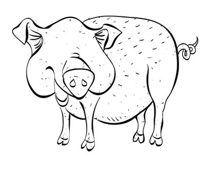 Cartoon image of pig Stock Illustration