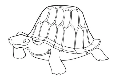 Cartoon image of turtle Stock Illustration