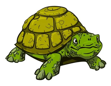 Cartoon image of turtle Stock Illustration