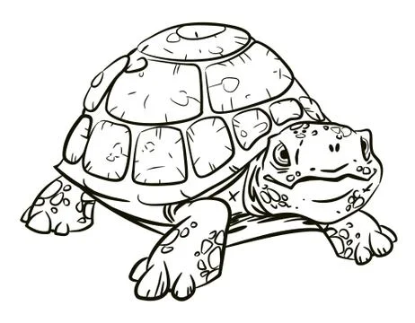 Cartoon image of turtle Stock Illustration