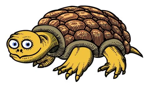Cartoon image of turtle Stock Illustration
