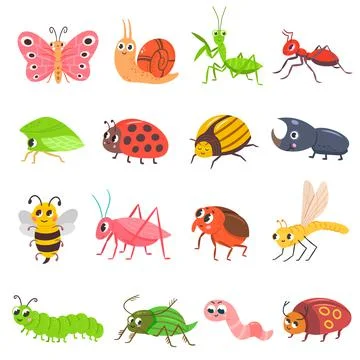 Cartoon insects and bugs. Stock Illustration