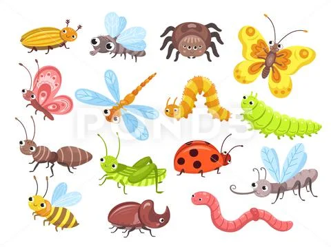 Cartoon insects. Fly bug, cute butterfly and beetle. Funny garden