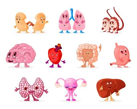 Cartoon internal human organs characters set Stock Illustration