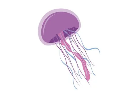Cartoon jellyfish in flat style. Vector illustration of jellyfish Stock Illustration