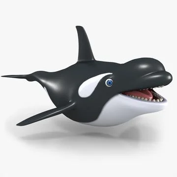 3d Model Cartoon Killer Whale Buy Now 91026781 Pond5
