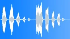 Cartoon lady joke laughterSound Effect