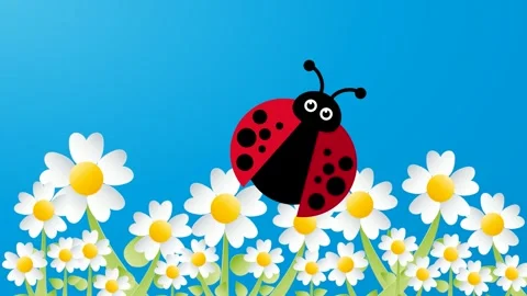 Cartoon ladybug flying over white daisies with blue sky background, spring .. Stock Footage 305628041
