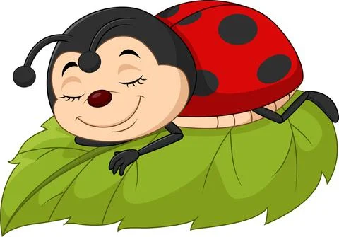 Cartoon ladybug sleeping on leaf Stock Illustration