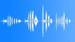 Cartoon laughter - low bad sorcerer Sound Effect