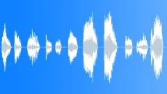 Cartoon laughter - nasty idiotSound Effect