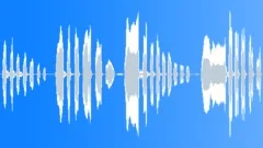 Cartoon laughter - pitched loud woman Sound Effect