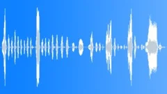 Cartoon laughter - quiet chipmunk Sound Effect