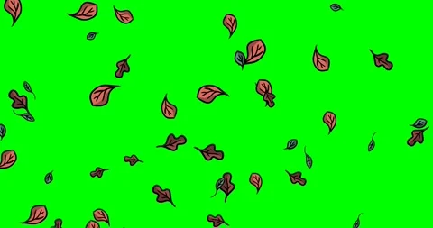 Cartoon leaves falling down on green screen background. 4K animation. Stock Footage 158319142