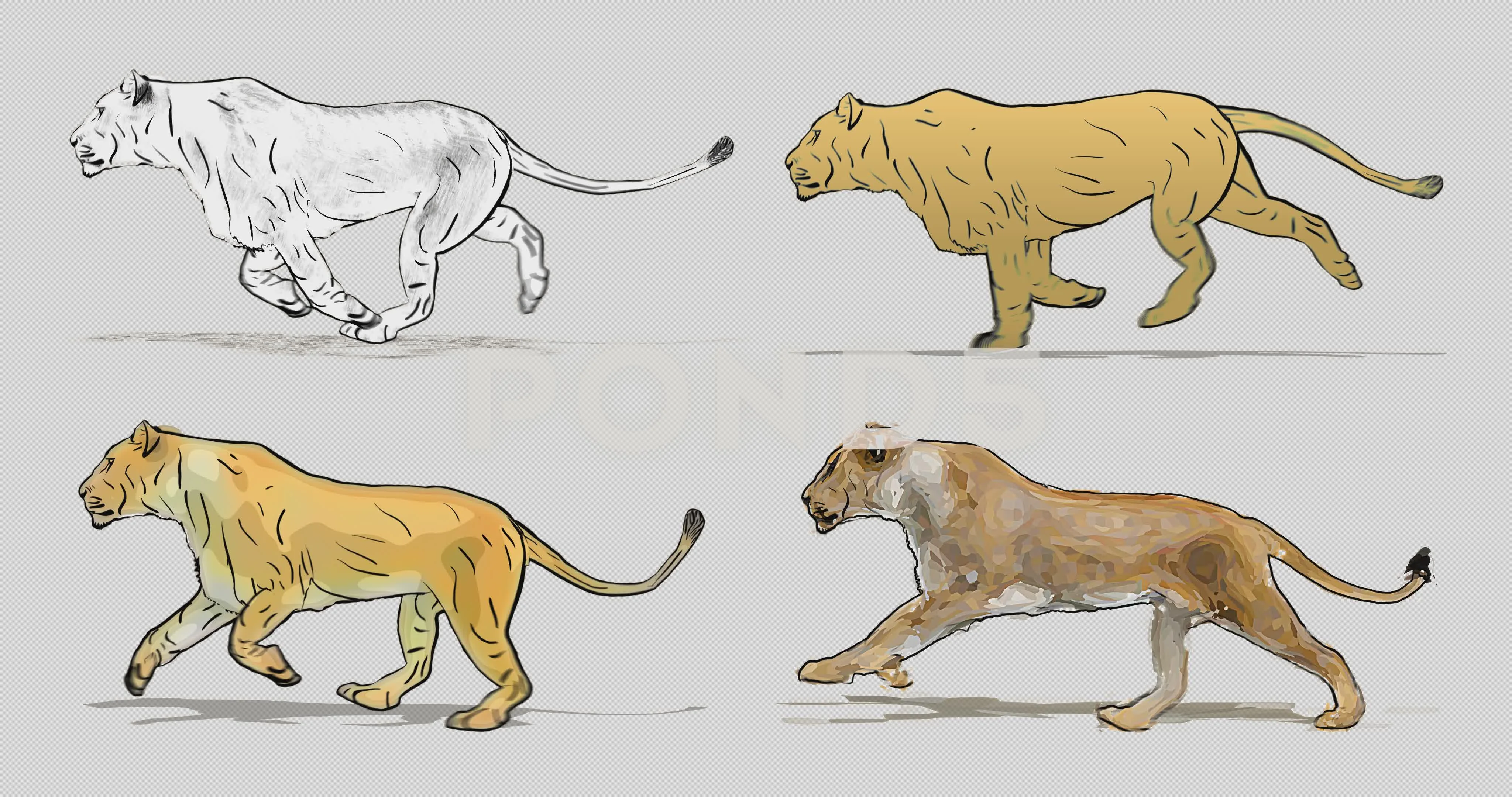 Cartoon lioness running. Animation cycli... | Stock Video | Pond5