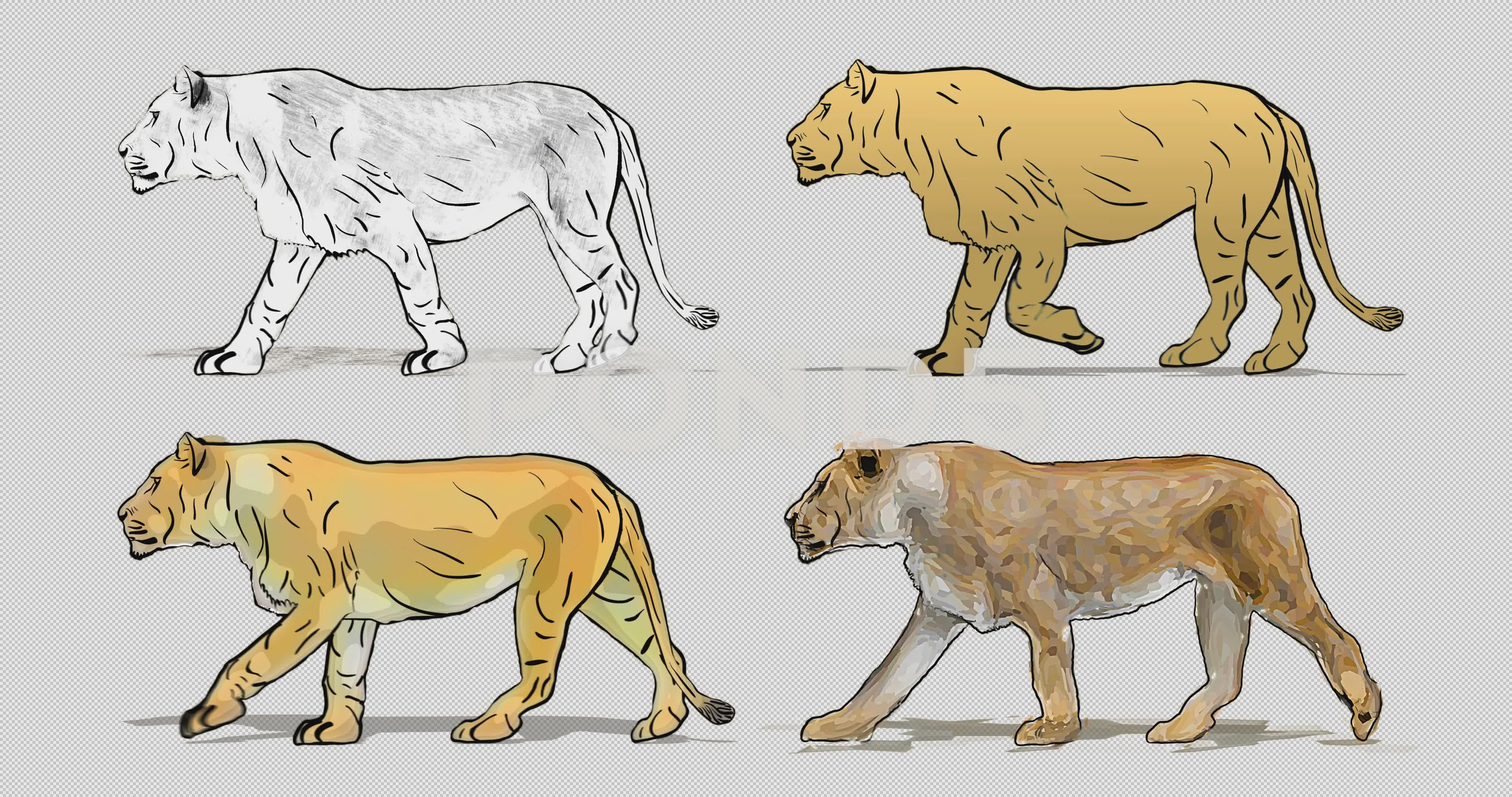 Cartoon lioness walking. Animation cycli... | Stock Video | Pond5