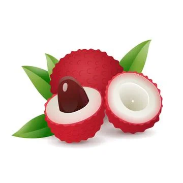 Cartoon lychee fruit Stock Illustration