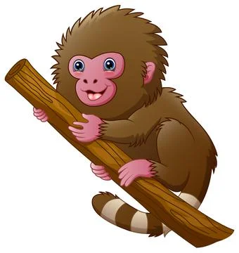 Cartoon macaque monkey Stock Illustration